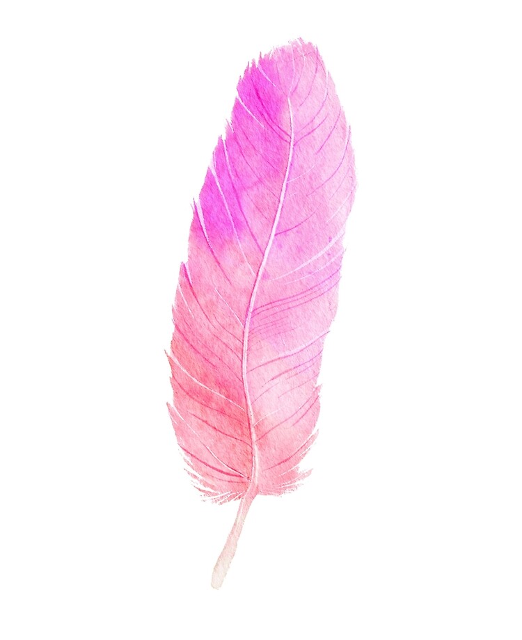 Pink Feathers print by DejaReve
