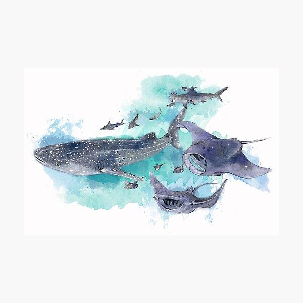 Item preview, Star Sharks and Rays designed and sold by loveisart.