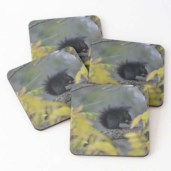 Item preview, Cute black squirrel getting ready for winter designed and sold by NorthernSnappy.
