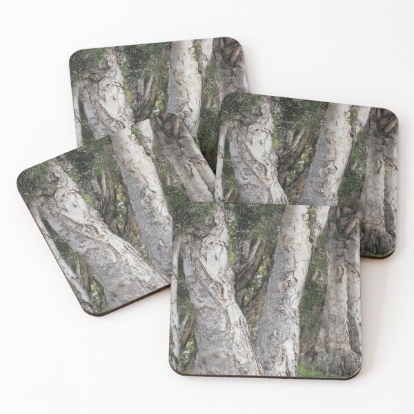 Item preview, Nature's Senior Citizens  designed and sold by heatherfriedman.
