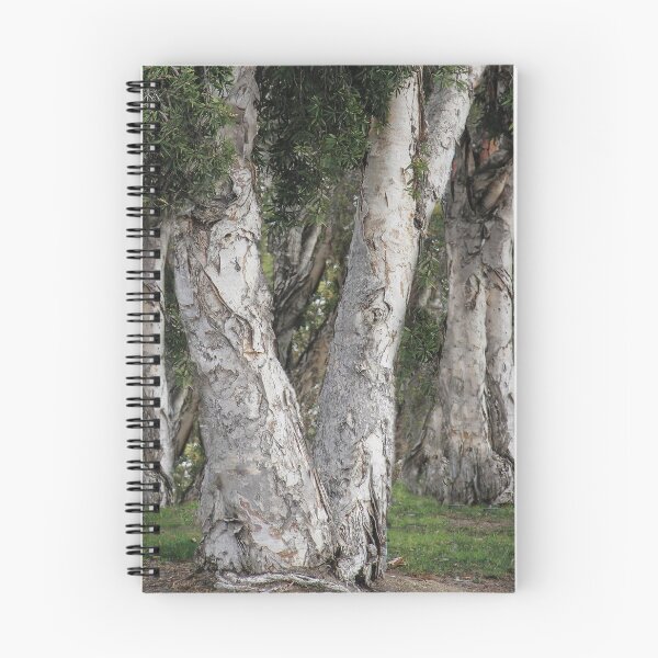 Item preview, Nature's Senior Citizens  designed and sold by heatherfriedman.