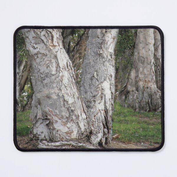 Item preview, Nature's Senior Citizens designed and sold by heatherfriedman.