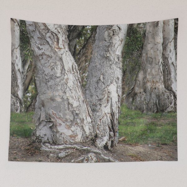 Item preview, Nature's Senior Citizens  designed and sold by heatherfriedman.