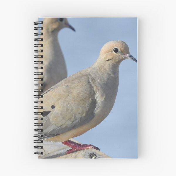 Item preview, Birds on Deck designed and sold by EnchantedxPhoto.
