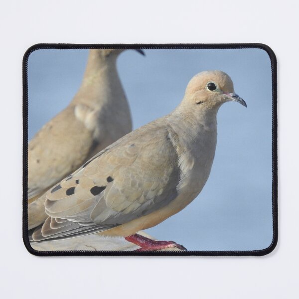 Item preview, Birds on Deck designed and sold by EnchantedxPhoto.