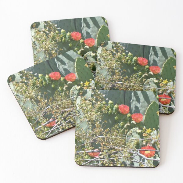 Item preview, Cactus Blooms designed and sold by GardenArtworks.