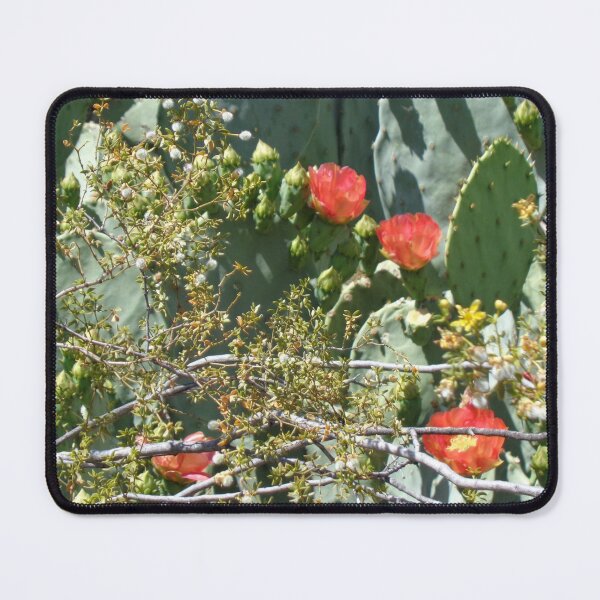 Item preview, Cactus Blooms designed and sold by GardenArtworks.