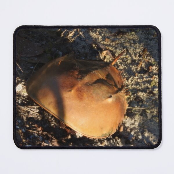 Horseshoe Crab Mouse Pad