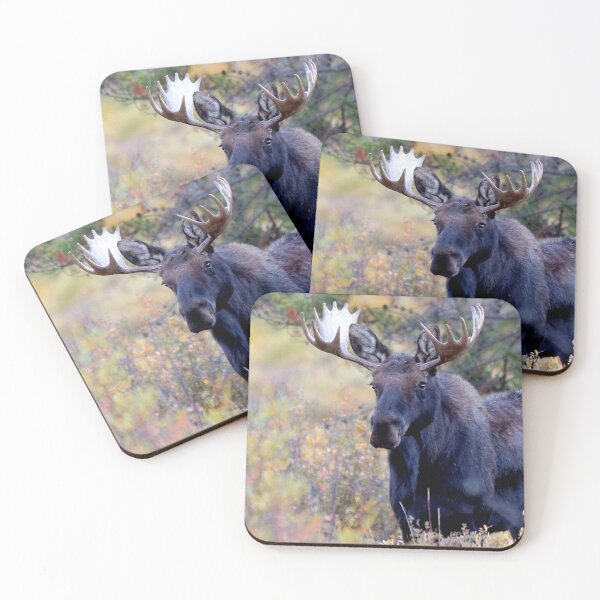 Item preview, Bull Moose designed and sold by Betsy Seeton.