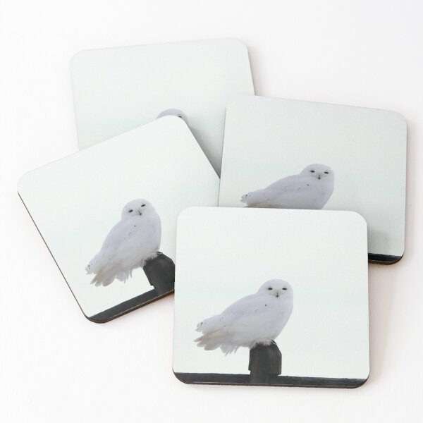 Item preview, Male Snowy Owl designed and sold by Alyce Taylor.