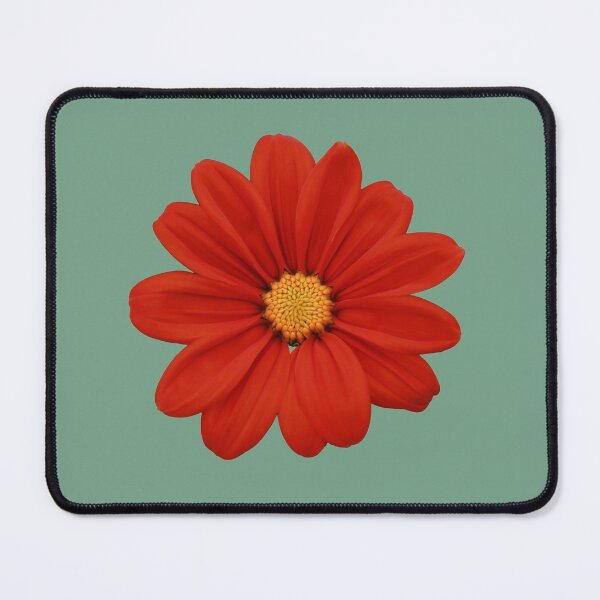 Item preview, Mexican Sunflower Knockout designed and sold by StampCity.