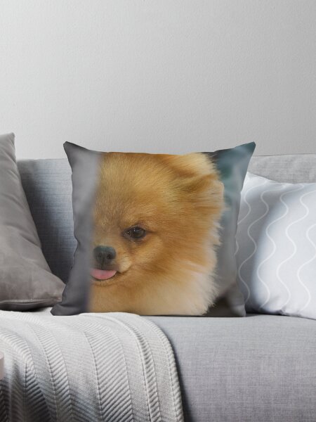 Scared dog fashion pillow