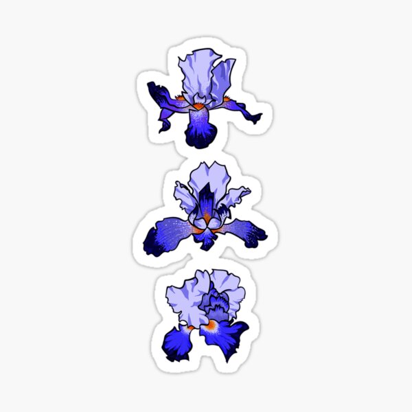 Iris - February Birth Month Sticker