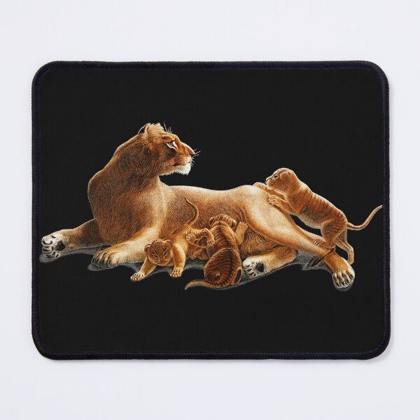 Item preview, Fails Leo Illustrated By Charles Dessalines D' Orbigny designed and sold by JOY STORE 45.