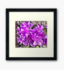Purple Rain Framed Print
