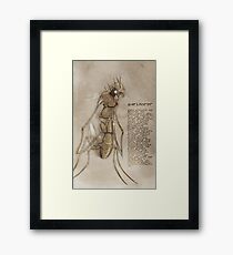 Nariscine Framed Print