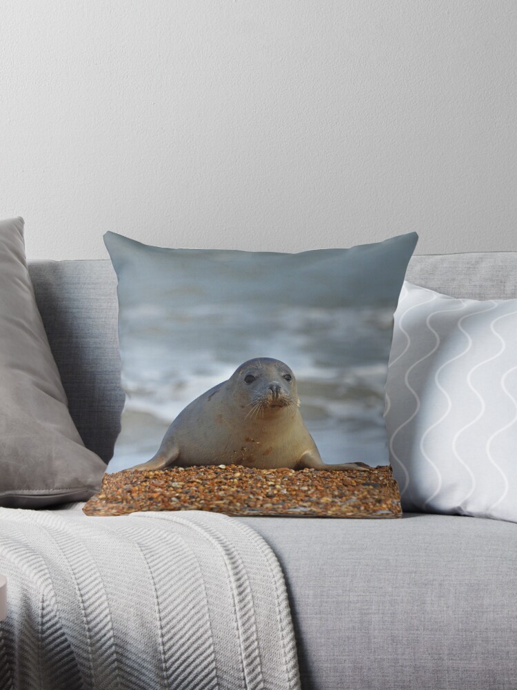 seal pup pillow