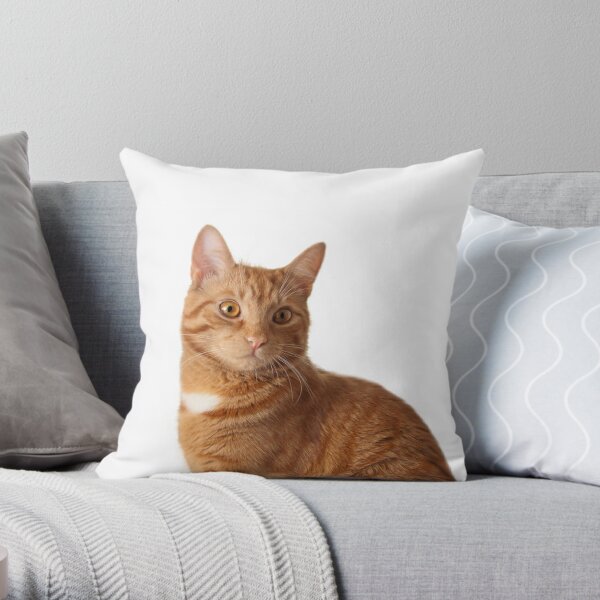 Ginger cat Throw Pillow