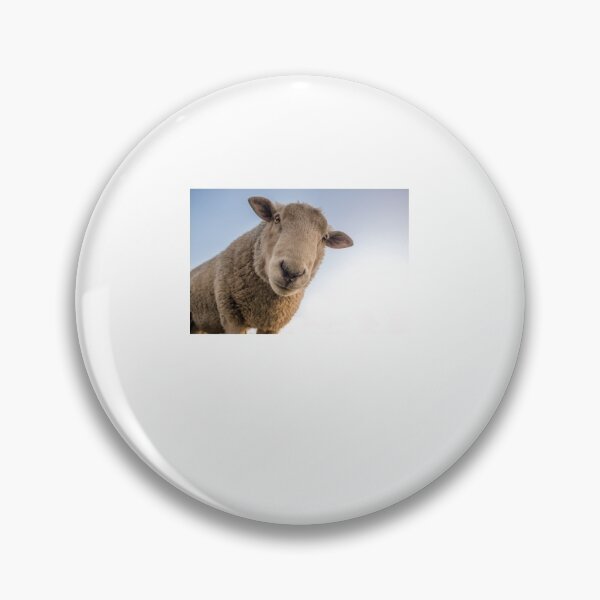 Item preview, sheep Sticker Copy Copy Copy Copy Copy Copy Copy Copy Copy Copy Copy Copy Copy Copy Copy Copy Copy Copy Copy Copy Copy Copy Copy Copy Copy Copy Copy Copy Copy Copy Copy Copy designed and sold by NATALIETILSLE.