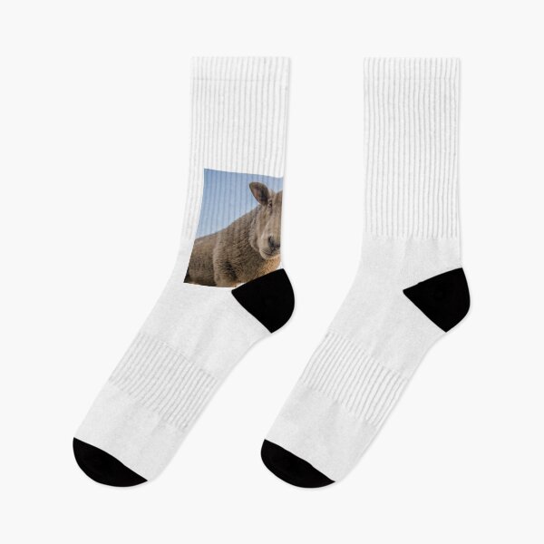 Item preview, sheep Sticker Copy Copy Copy Copy Copy Copy Copy Copy Copy Copy Copy Copy Copy Copy Copy Copy Copy Copy Copy Copy Copy Copy Copy Copy Copy Copy Copy Copy Copy Copy Copy Copy designed and sold by NATALIETILSLE.