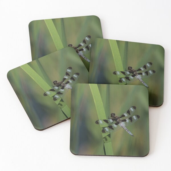 Item preview, Pond Jewel - Black and White Dragonfly designed and sold by Georgia Mizuleva.