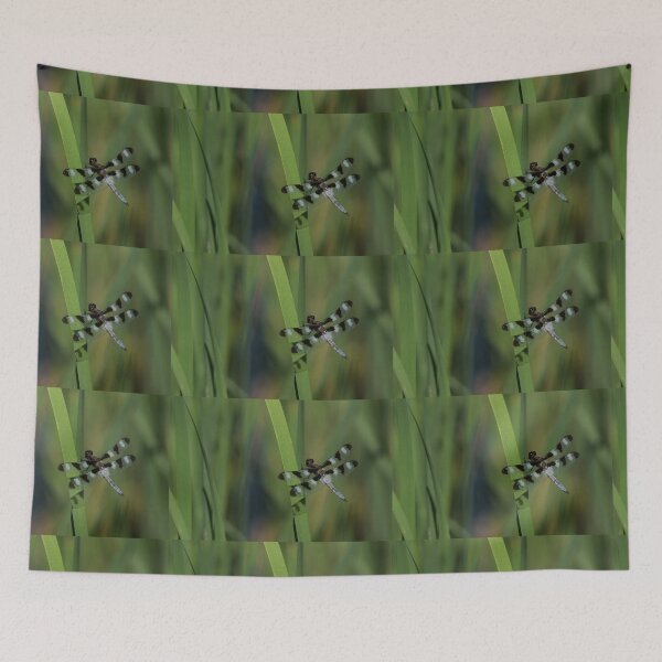 Item preview, Pond Jewel - Black and White Dragonfly designed and sold by Georgia Mizuleva.