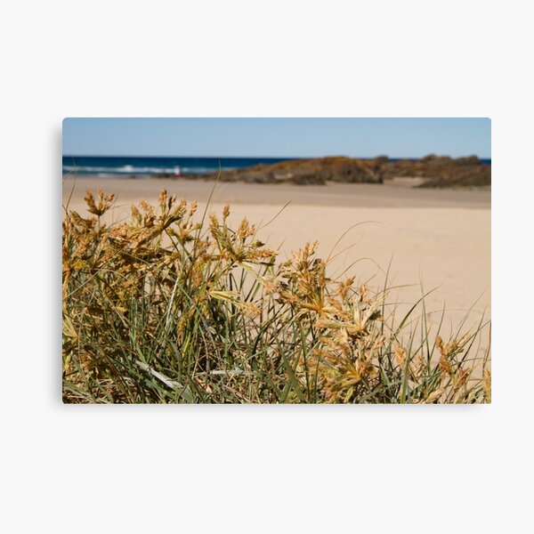 Item preview, Spinifex designed and sold by Bellamaree.