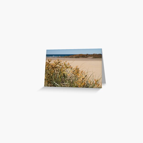 Item preview, Spinifex designed and sold by Bellamaree.