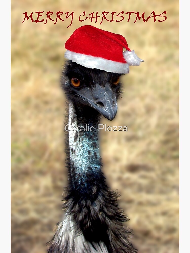 Emu-*様☆メリークリスマス☆ Emu-*様☆メリークリスマス☆ Emu-*様☆メリークリスマス