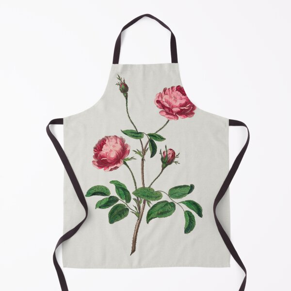 Item preview, Rose, Rosa rubra, collection of Botanicals designed and sold by mycloudzdesign.