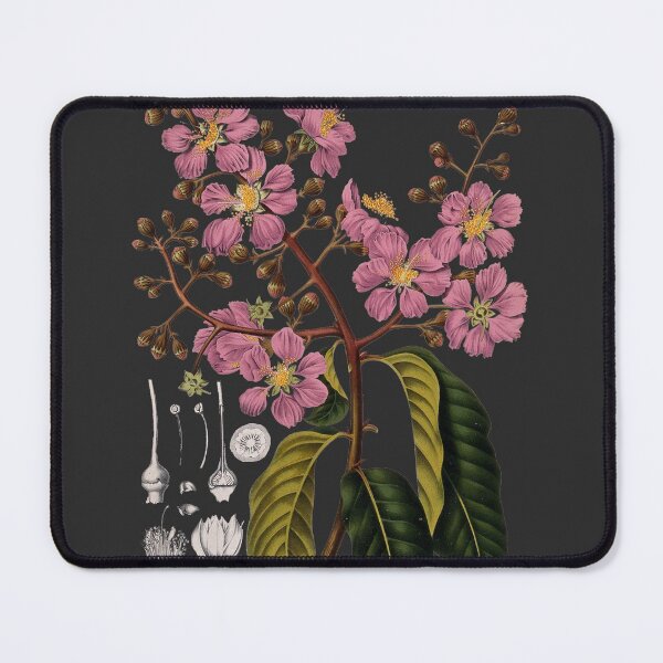 Item preview, Vintage Botanical Flower Buds Illustration - Banaba Pride of India designed and sold by Naturalist Prints.