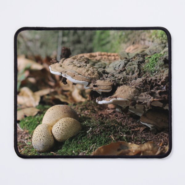 Item preview, Shelter designed and sold by cuprum.