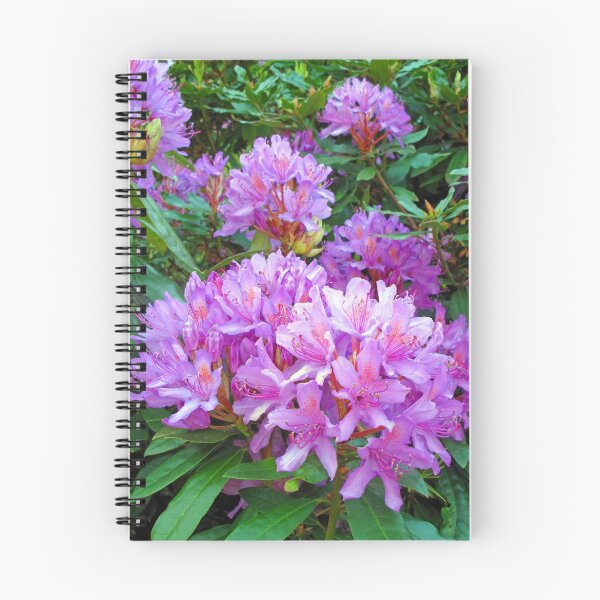 Item preview, Pink Rhododendron designed and sold by VisionZone.