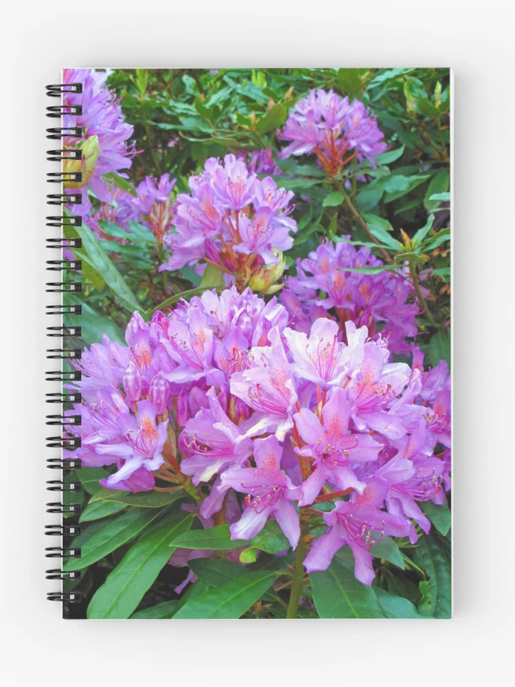 Thumbnail 1 of 3, Journal, Pink Rhododendron designed and sold by VisionZone.
