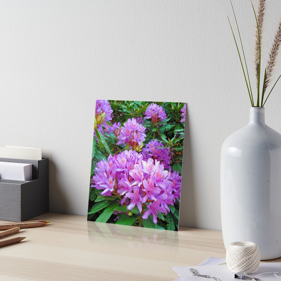 Item preview, Art Board Print designed and sold by VisionZone.