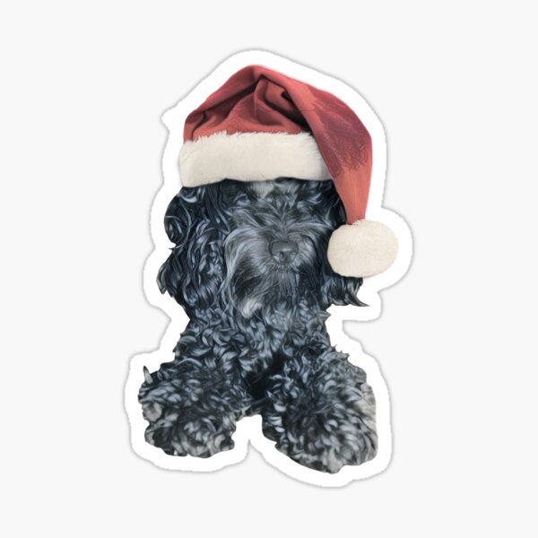 Cockapoo in a Christmas Santa Hat (Blue) Sticker