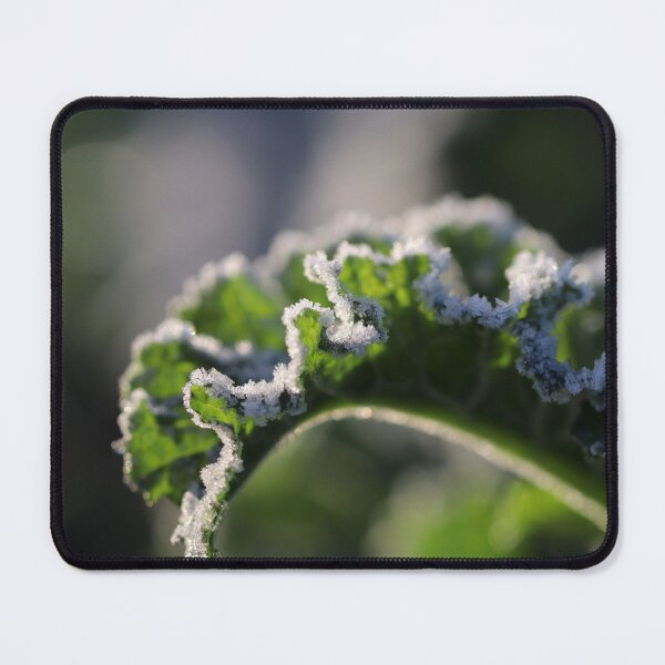 Item preview, It's Freezing 'Cole' designed and sold by cuprum.