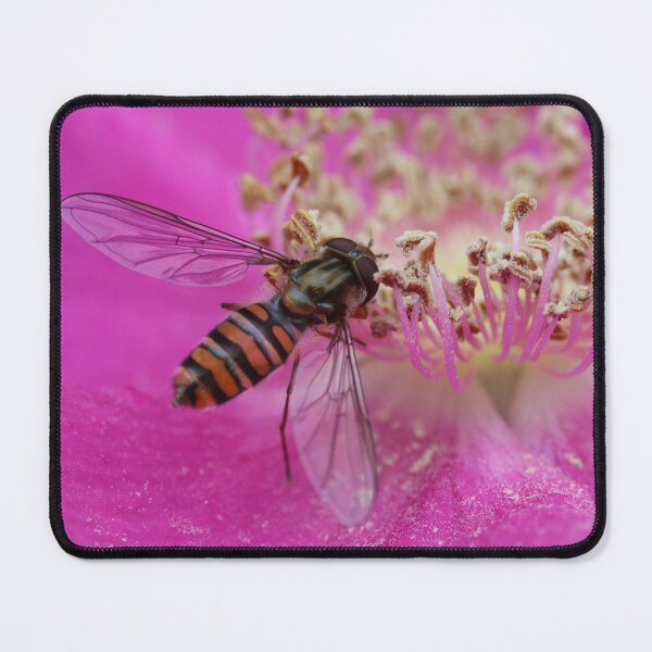 Item preview, A Love of Roses designed and sold by cuprum.