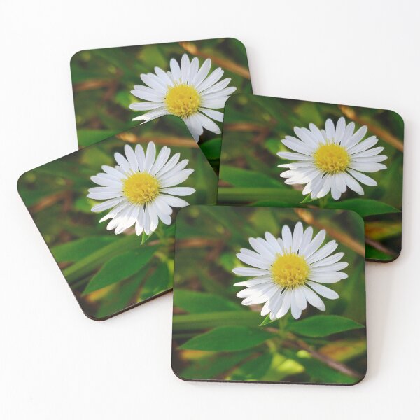 Item preview, Tiny Daisy-Light designed and sold by Rebekah Slick.