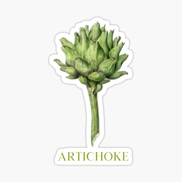 Produits Sur Le Theme Artichaut Redbubble