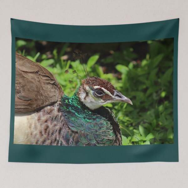 Item preview, Peacock designed and sold by BlauesSternWolf.