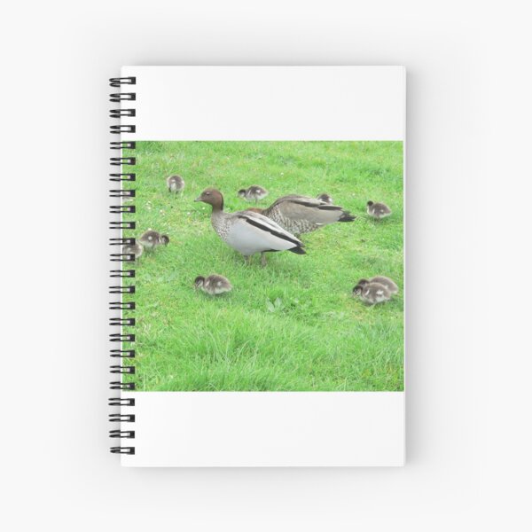 Untitled Spiral Notebook