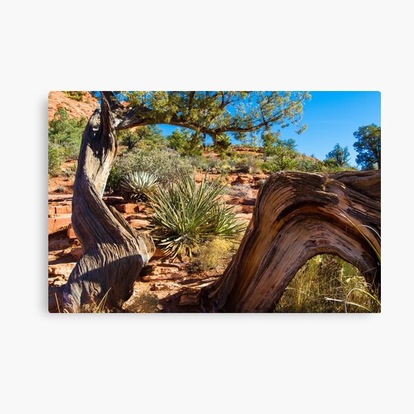Split Canvas Print