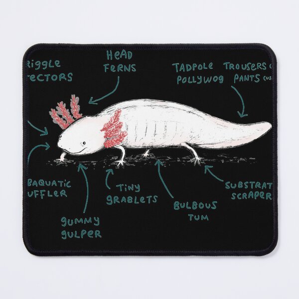 Item preview, Anatomy of an Aolotl Classic designed and sold by subtractvariety.