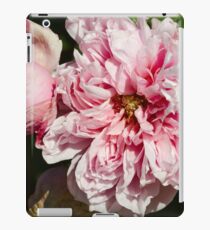 Greeting iPad Case/Skin