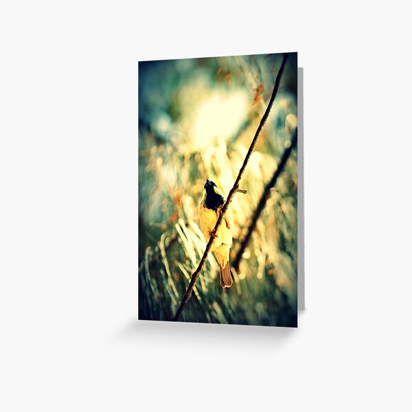 Branch Birdie II Greeting Card