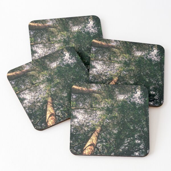 Item preview, Ancient Woodland designed and sold by SofiaAlves.