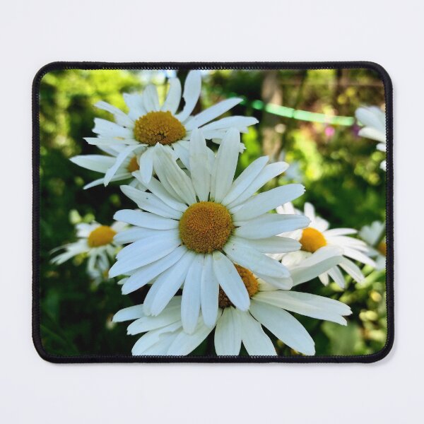 Item preview, Daisies designed and sold by Gourmetkater.