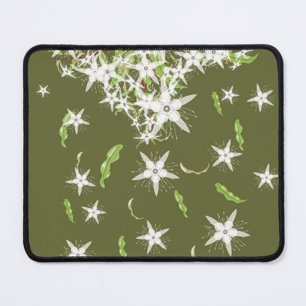 Item preview, Flowers and Leaves of the Australian Aniseed Myrtle Tree - Syzygium anisatum - Olive designed and sold by Karen McFarland.