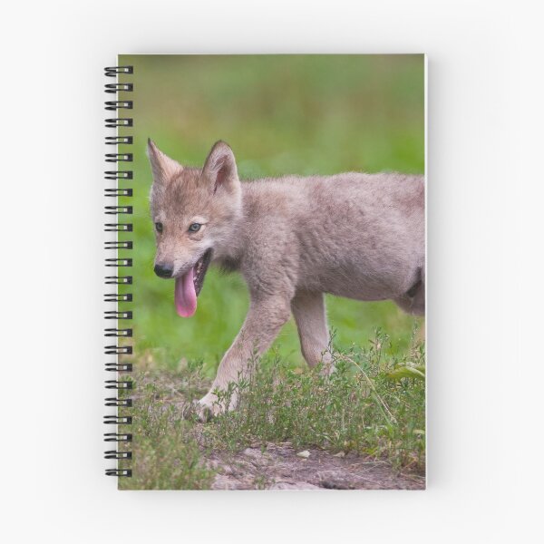Item preview, Timber Wolf Pup designed and sold by Michael Cummings.